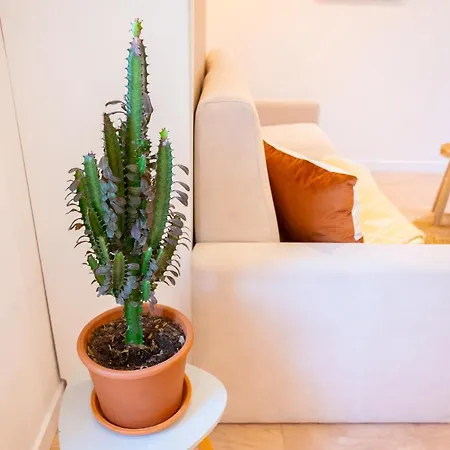 Appartement Exceptionnel, Cocooning Proche Mer, Petite Terrasse- Lesclésdenicole *